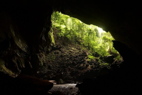 Deer Cave, Bornéo, gunung mulu