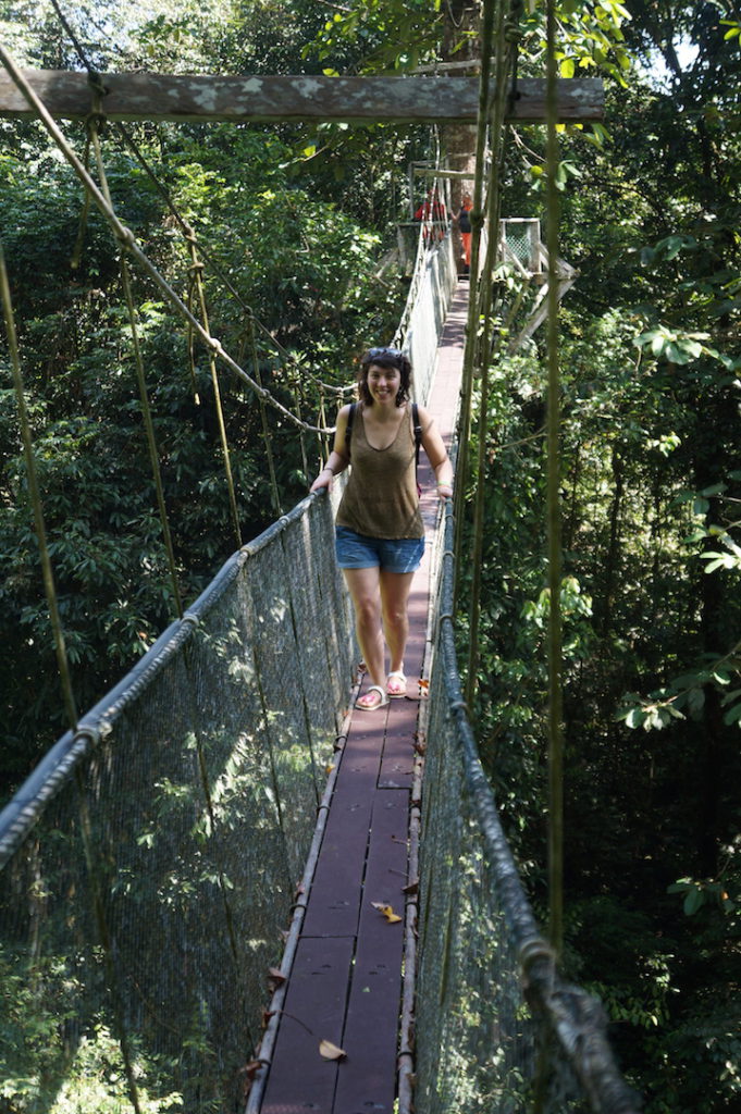 Canopée gunung mulu